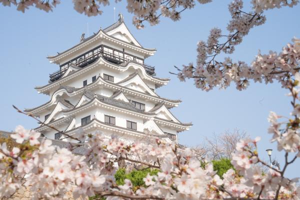 昨年の桜まつりの時季の福山城の写真１