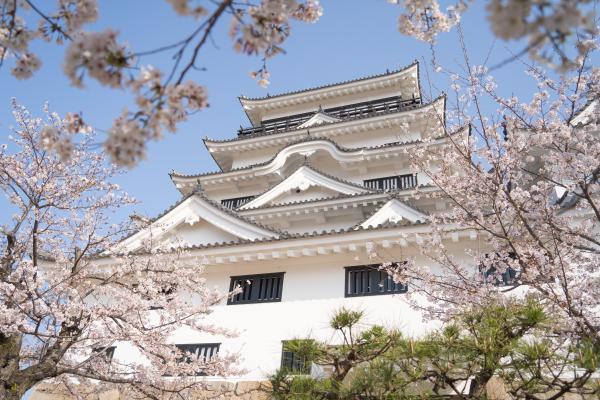 昨年の桜まつりの時季の福山城の写真２