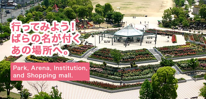 行ってみよう!ばらの名が付くあの場所へ。