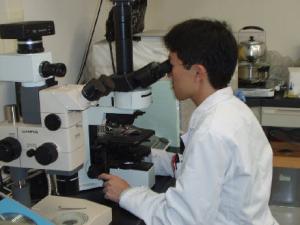 精密検査。と畜検査員が検査室内で顕微鏡を使って病理学的な検査をしている写真です。