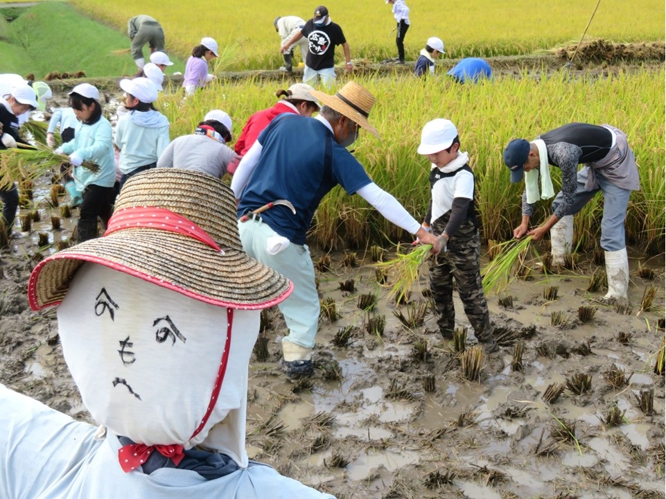 遺芳丘小学校
