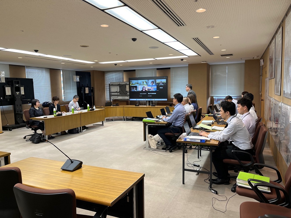 少子化対策専門家会議