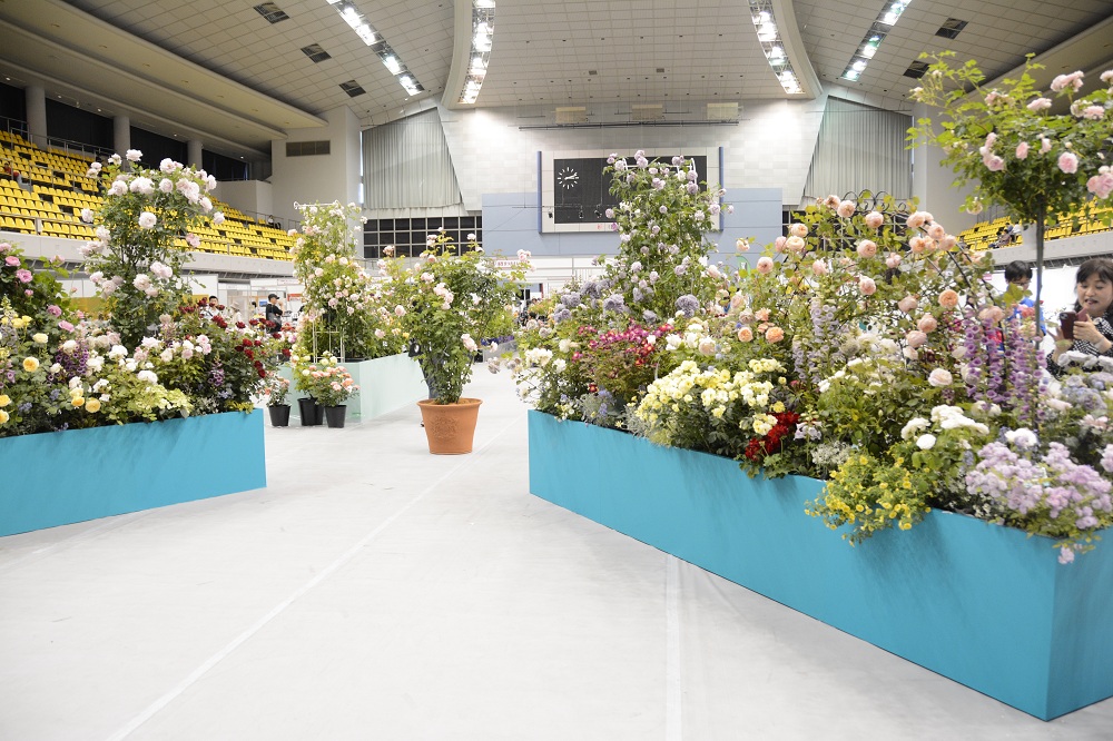  Rose Expo FUKUYAMA 2026