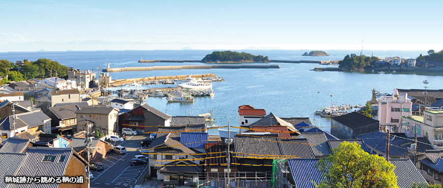 鞆城跡から眺める鞆の浦の写真