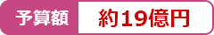 予算額19億円