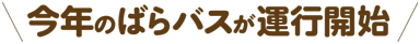 今年のばらバスが運行開始