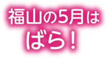 福山の5月はばら！