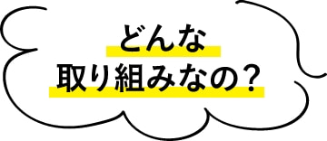 どんな取り組みなの？