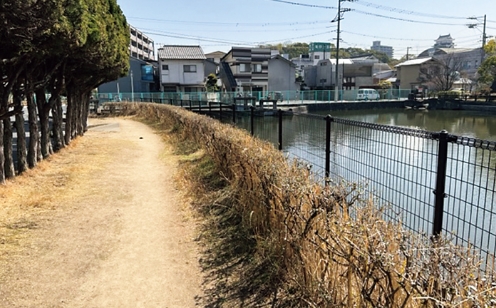 転落防止柵の写真