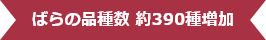 ばらの品種数 約390種増加