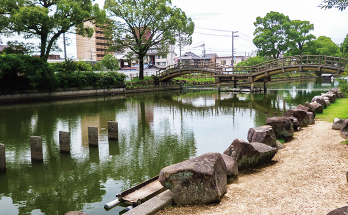どんどん池の写真