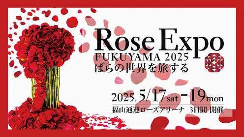 2025年5月17日～19日