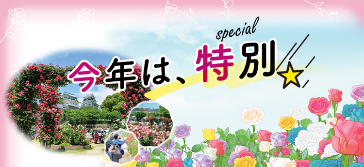 今年は特別
