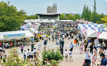 緑町公園の写真
