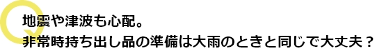 地震や津波も心配。