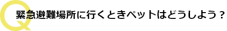 緊急避難場所に行くとき