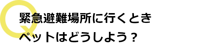 ペットはどうしよう？