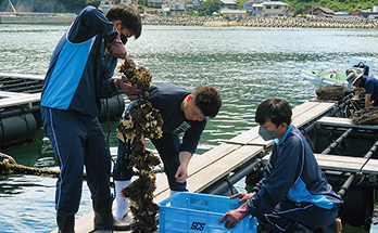 カキの養殖体験の様子