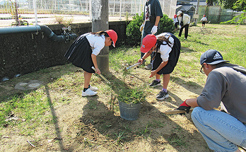 清掃活動の様子