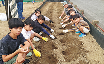 じゃがいもの植え付けをするこどもたちの様子