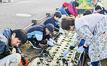 タマネギの植え付けをするこどもや大人たち。