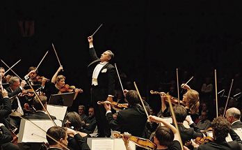 演奏するオーケストラの様子