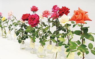 参加型イベント