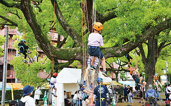 ひもを使って木登りをする子供たち