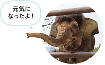 「元気になったよ！」と呼びかけるふくちゃん