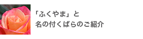 「ふくやま」と名のつくばらのご紹介