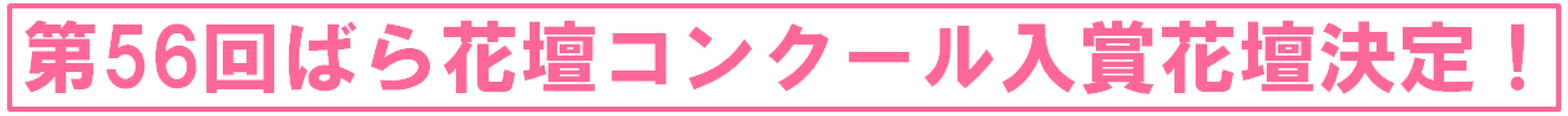 第56回ばら花壇コンクール入賞決定