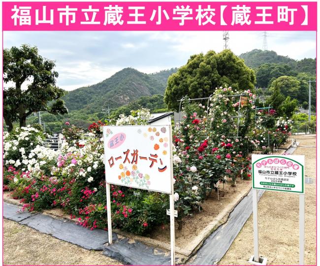 蔵王小学校