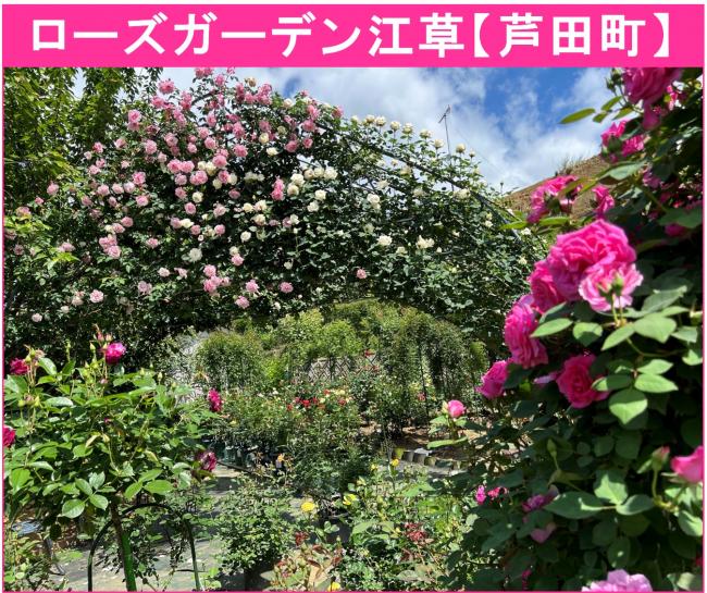 江草