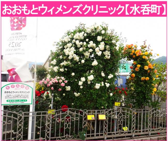 おおもとウィメンズクリニック