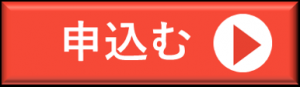 ボタン