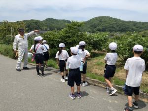 探検
