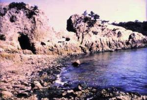 仙酔島の海食洞