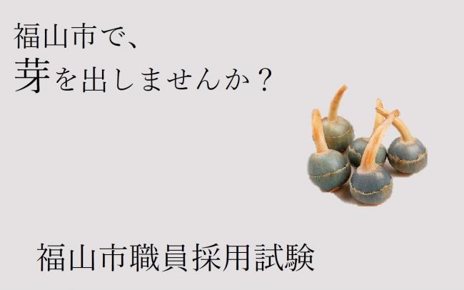 採用画像(日付なし)
