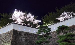 2023年度ライトアップ時