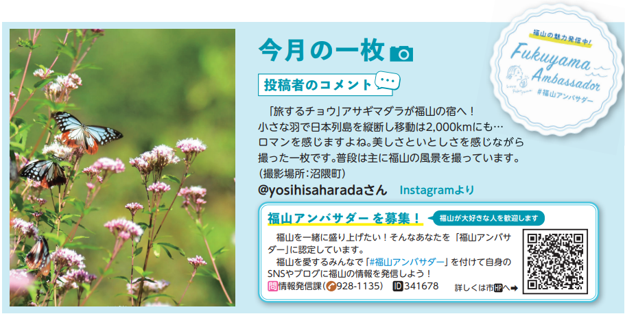 24年10月
