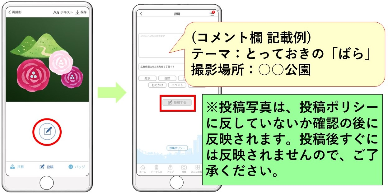 画像イメージ