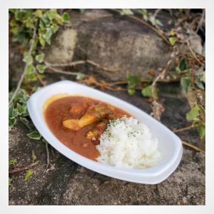 ツジノカレー