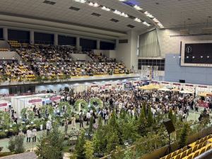 Expo