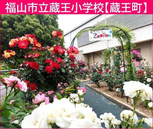 蔵王小学校