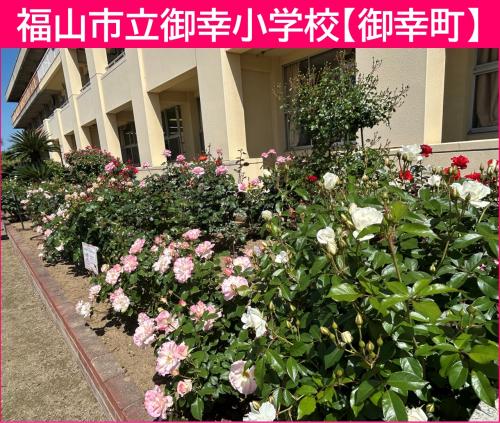 御幸小学校