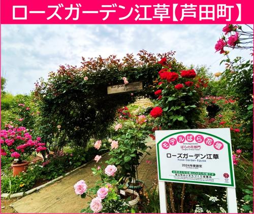 ローズガーデン江草