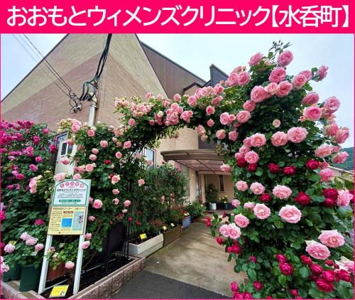 おおもとウィメンズクリニック