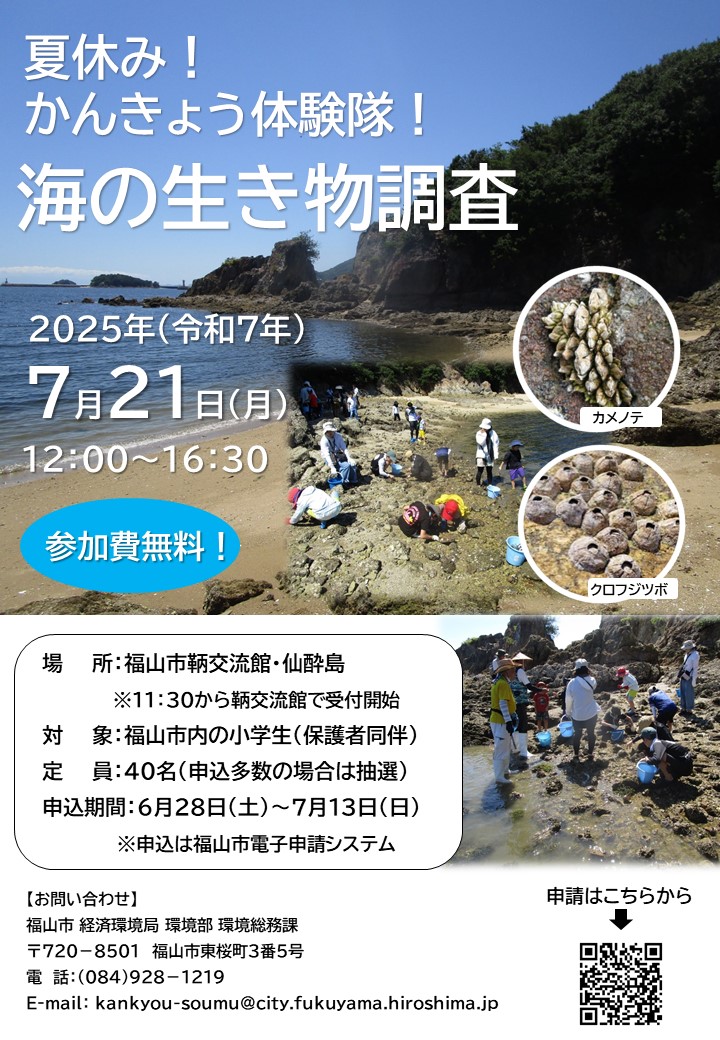 チラシ１