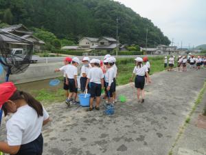 水生生物調査８