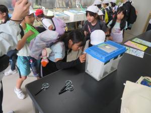ほたるの観察２